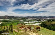 How to spend one day in Dalat