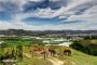 How to spend one day in Dalat
