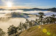 Da Lat Attractions