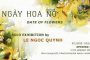 Art exhibition “Date of flowers” at Hive Lounge from watercolor artist Le Ngoc Quynh