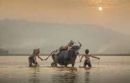 Về với tuổi thơ