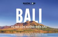 Travellive tổ chức Amazing Tour số 5 quảng bá du lịch Bali