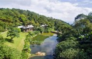 Meliá Hotels International Đạt Danh Hiệu Tập Đoàn Phát Triển Bền Vững Nhất Thế Giới