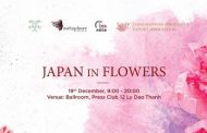Thưởng lãm 2200 bông hoa Nhật ngay giữa mùa đông Hà Nội