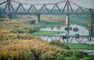 Những cánh đồng lau đẹp như tranh thủy mặc ngay tại Hà Nội