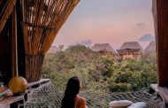 Check-in ngay resort trên cây 