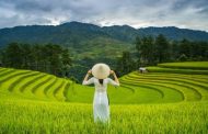 Mù Cang Chải vinh dự trở thành 