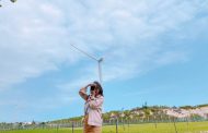 Những cánh đồng quạt gió đẹp ngút ngàn tựa trời Âu