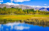 Vẻ đẹp ngỡ ngàng của Ladakh (Ấn Độ)