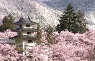 Những địa điểm mộng mơ bậc nhất ở vùng Kansai (Nhật Bản)