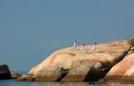 Namaste! Agoda shares Vietnam’s yoga getaways