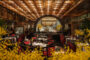 Một sao Michelin dành cho nhà hàng Nhật Bản duy nhất tại Việt Nam – Hibana by Koki, cảm nhận Ẩm thực Teppanyaki đúng nghĩa giữa lòng Hà Nội!