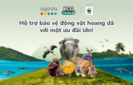 Agoda công bố ra mắt Chương trình Ưu đãi Sinh thái lần thứ ba tại Diễn đàn Du lịch ASEAN