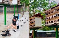 Tìm về chốn an tĩnh nơi Hồ Mây Núi Lớn