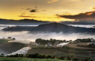 Agoda: Da Lat is the Cheapest Destination for End-of-Year Holidays