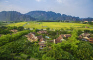Lạc vào miền thơ giữa tiết trời cuối năm tại Emeralda Resort Ninh Bình