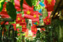 IHG strengthens community impact in Vietnam as part of 334,000 lives improved across East Asia & Pacific in 2024