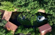 Phương Nam Resort – Sống chậm giữa thiên nhiên, tận hưởng chuẩn nghỉ dưỡng giữa lòng TP.HCM