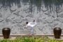 Kỳ nghỉ đậm chất Đông Dương