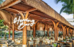 Herring Bar ra mắt trải nghiệm tiệc nướng bên biển