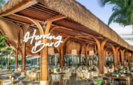 Herring Bar ra mắt trải nghiệm tiệc nướng bên biển